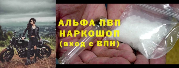 твердый Богданович