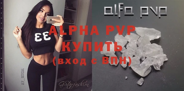 твердый Богданович