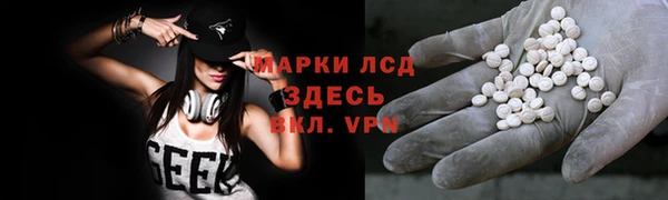 твердый Богданович