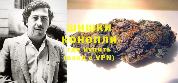 твердый Богданович
