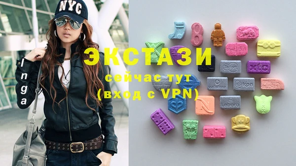 твердый Богданович