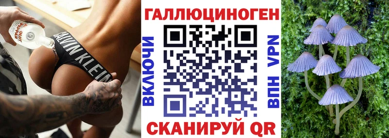 это клад  Мураши  Псилоцибиновые грибы мухоморы 